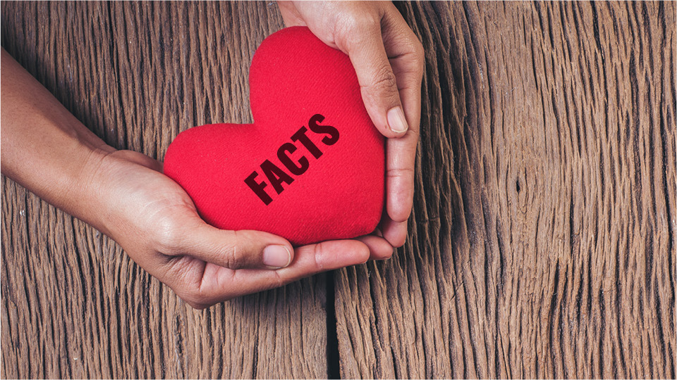 Facts About The Human Heart